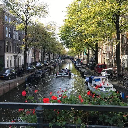 The African Lily Amsterdam