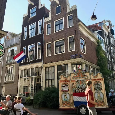 The African Lily Amsterdam