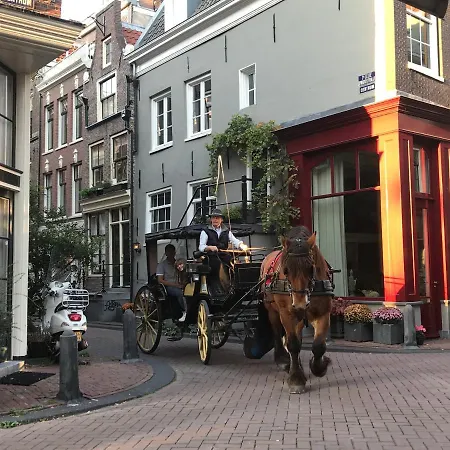 The African Lily Bed & Breakfast Amsterdam